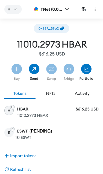 Metamask Pending Transfer Mock
